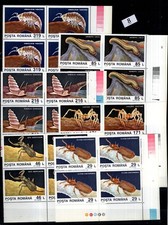 / 4X ROMANIA 1993 - MNH - INSECTS - SPIDER