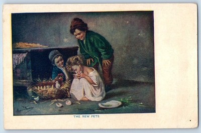 c1910's The New Pets Children With Chicks Hatched Eggs Antique Postcard