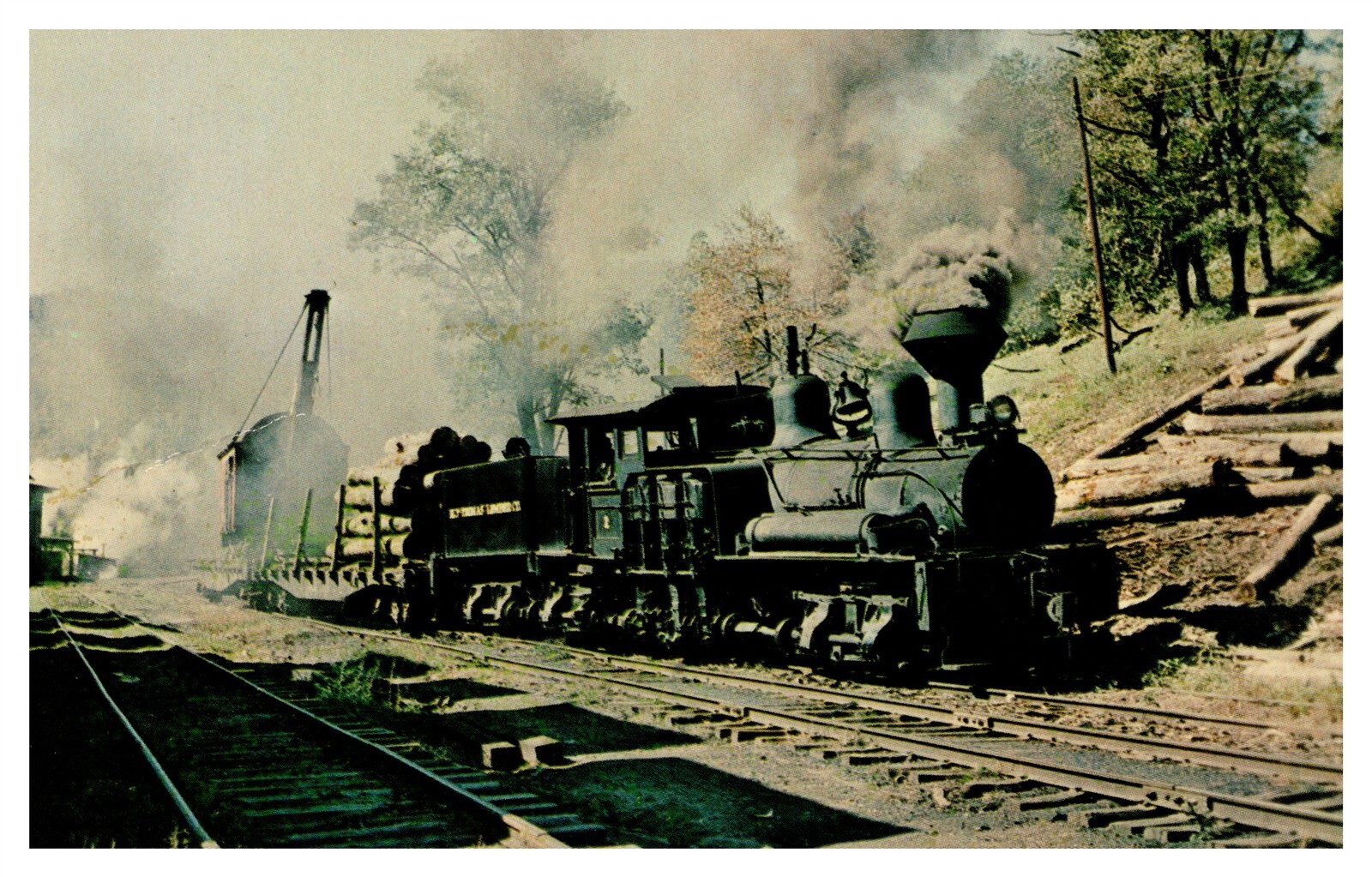 Rare Fenwick Log Train Postcard - Last US Steam Logging Railroad AE19