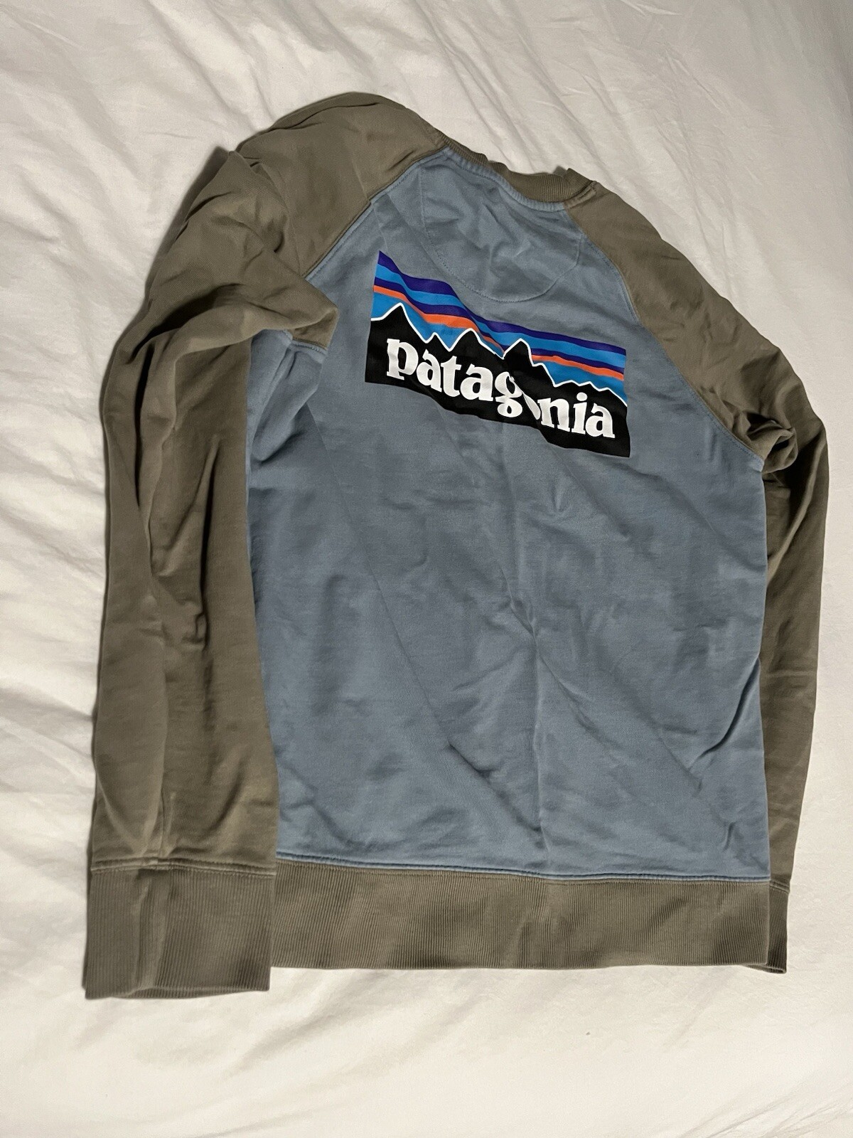 Patagonia Men's Small Green Blue Crew Neck Sweatshirt Pullover