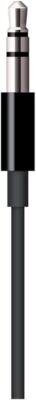 Apple Lightning to 3.5mm Audio Cable 1.2M - Black MR2C2ZM/A