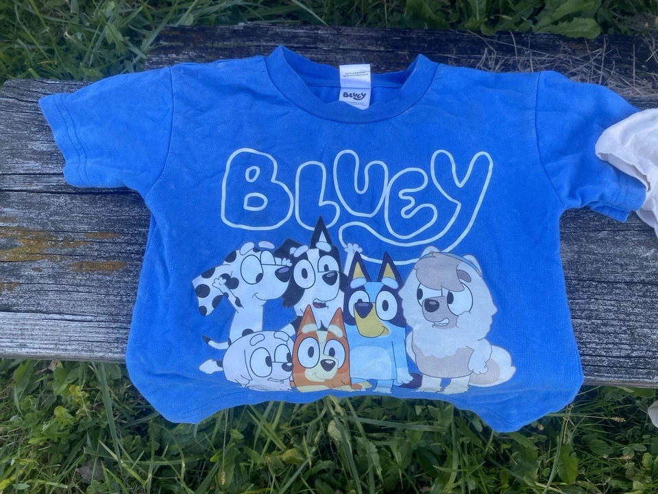 Lot of 9 Boys T-Shirts Size 3T – Bluey, Stitch, Air Jordan, Nike, Champion - Image 2 of 4