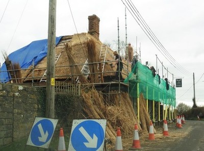 Foto 6x4 Thatching in Arbeit, Muchelney c2017