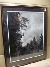 Ansel Adams Yosemite National Park Poster, Framed Under Glass