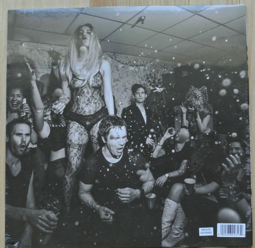 THIRD EYE BLIND We Are Drugs LP Vinyl 2016 Sealed - Picture 3 of 3