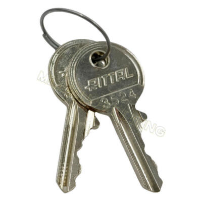 1Pair (2Keys) Fit Rittal 2532000 Enclosure Key
