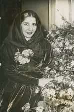 Reine de beaut&#233; - Reine des corses