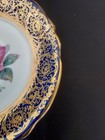 RARE DW Paragon Cobalt Cup Saucer w/Brocade Gold Gilt 4 Pink Floating Roses  Eng — photo 3