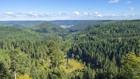 Bild 12 von 12