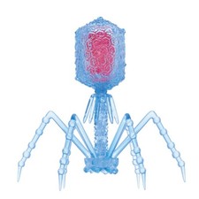 Science Techni Colour T4 bacteriophage Figure Clear Blue Ikimon