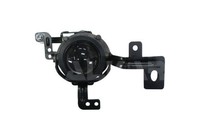 Nebelscheinwerfer Nsw Nebler Nebelleuchte Rechts 2952995