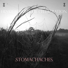 Frank Iero Stomachaches (Vinyl)