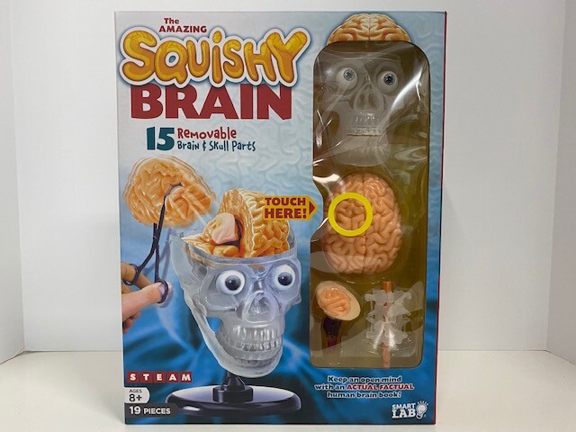 squishy brain toy
