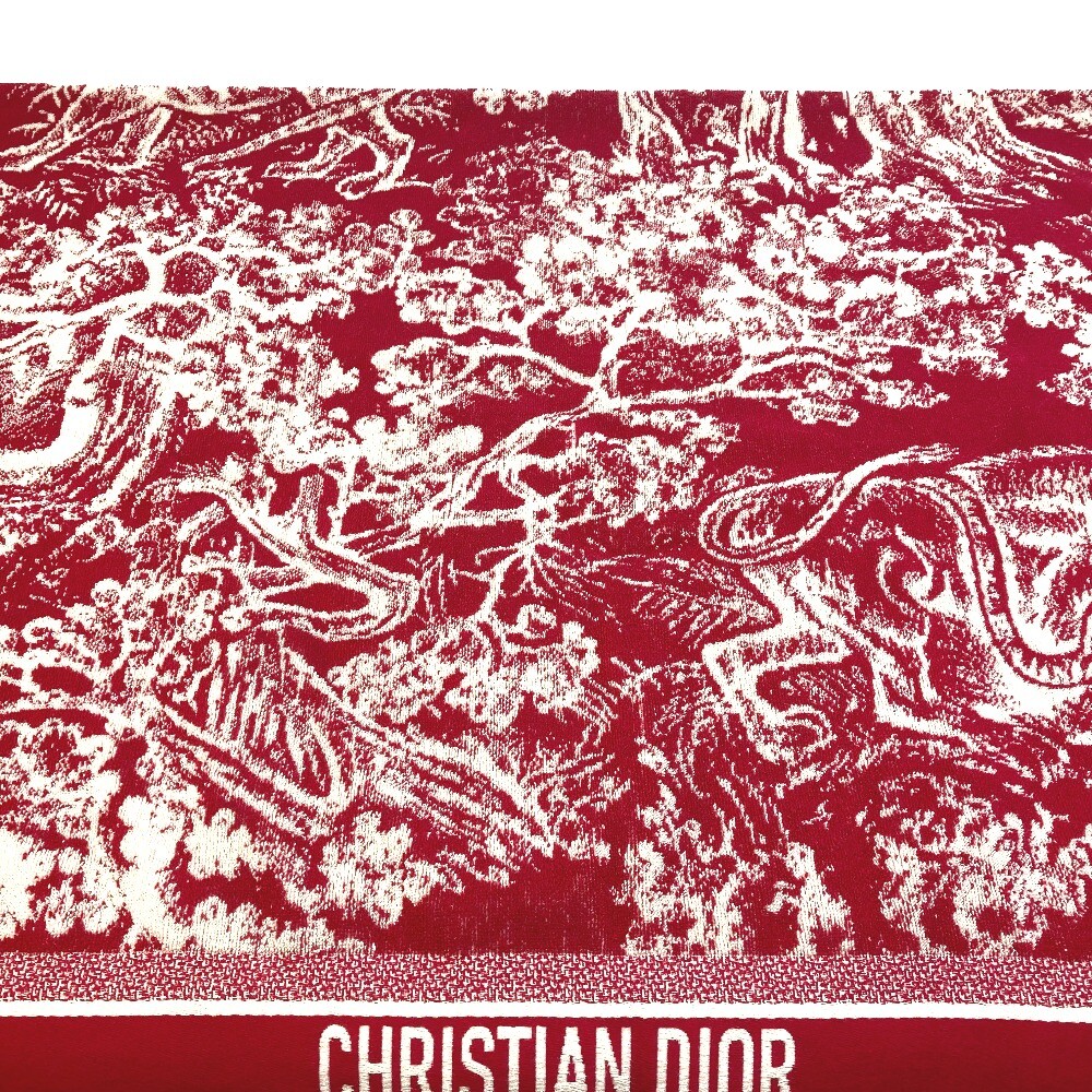 Dior 21JOU800IXGS fringe animal Reverses Toile Tojuy beach