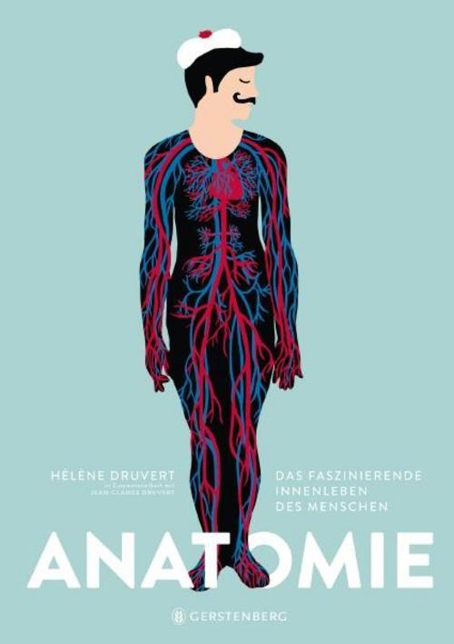 Thumbnail - Anatomie, Hélène Druvert