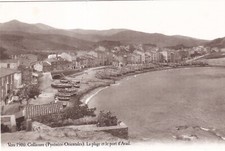 Carte postale postcard 10x15cm COLLIOURE plage et port reproduction de 1900