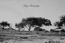 Digital image picture wallpaper black and white snow in field photo by Paige