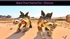 Ark Ascended - Black Pearl Gacha Pair [Clones] - Xbox/PC/PS5 Official PVE