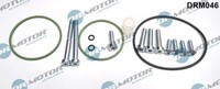 Dr.Motor Automotive DRM046 Reparatursatz, Unterdruckpumpe (Bremsanlage) For Audi
