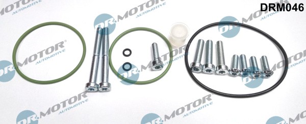 Dr.Motor Automotive DRM046 Reparatursatz, Unterdruckpumpe (Bremsanlage) For Audi-image