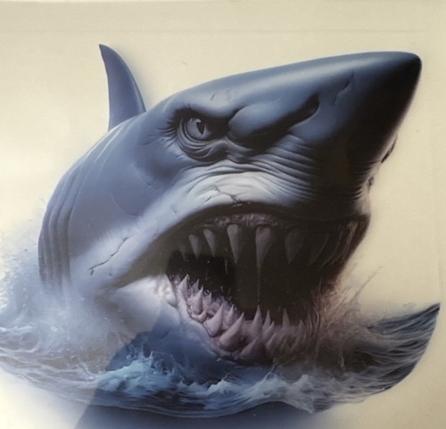 ANGRY GREAT WHITE SHARK DECAL ROD TUBE & BOX STICKER CAR STICKER 18 X 18cm - Picture 2 of 2