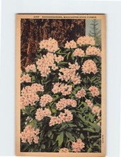 Postcard Rhododendrons Washington State Flower