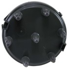 Foto 5 di 6