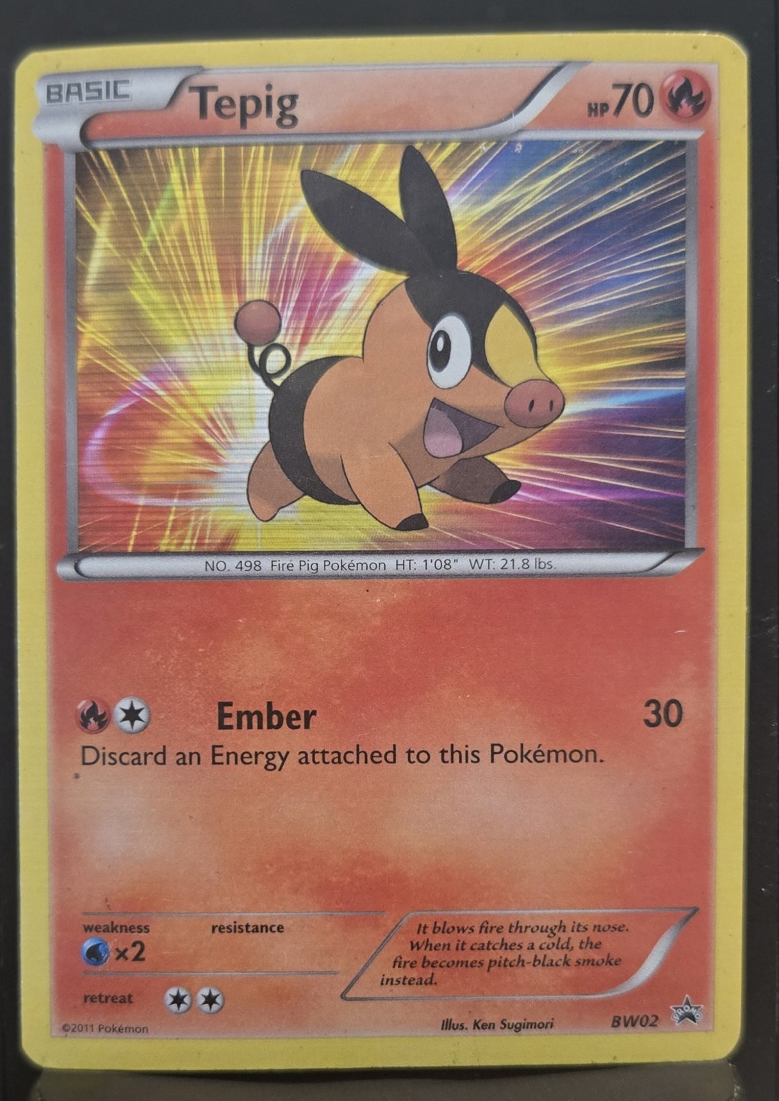 Pokemon TCG Black & White Tepig BW02 Black Star Promo LP