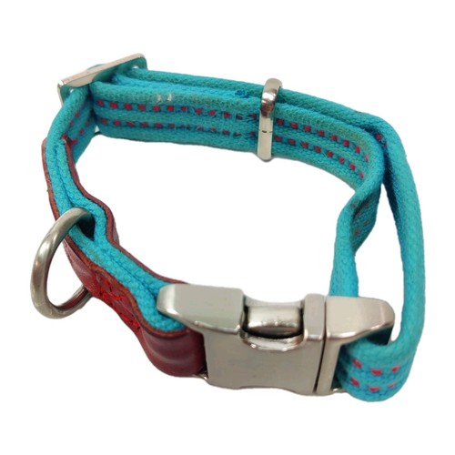Reddy Blue Stripe Dog Collar Size Small 9–14 in Adjustable & Stylish