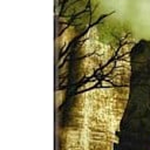 Shadow of the Colossus PlayStation 3 PS3 NTSC-J CIB - Picture 5 of 10