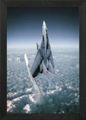 Tomcat Gerahmtes Wandbild Poster Leinwanddruck Bild