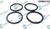 Dr.Motor Automotive DRM0312S Dichtungssatz, AnsaugkrüMmer FüR CitroËN, Fiat