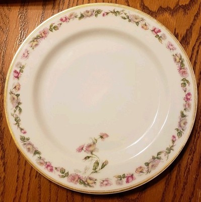Set Of 6 Haviland France The AMSTEL Pattern Limoges Dinner Plates 9 3/4''Diameter