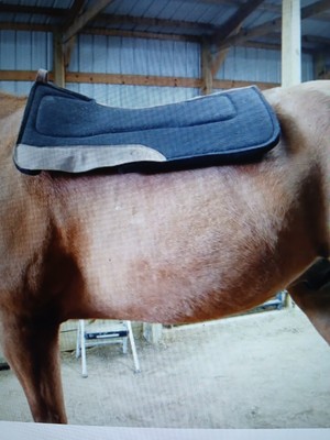 Total Saddle Fit Perfect Western Saddle Pad