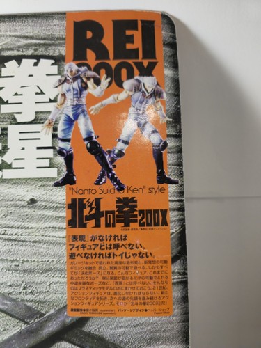 FIST OF THE NORTH STAR 200X REI VARIANT ACTION FIGURE KAIYODO HOKUTO NO KEN RAY: - Imagen 11 de 12