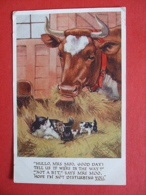 Alte TIERFREUNDE P/C B BUTLER KUH KATZEN KÄTZCHEN HALLO MRS MOO STÖREN SIE