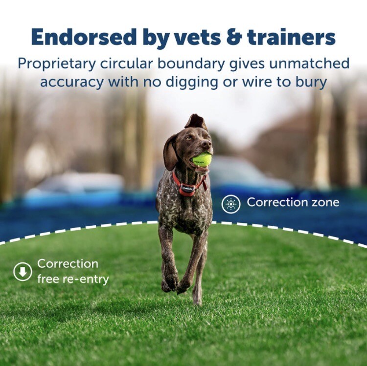 PetSafe PIF0013663 Stay and Play Wireless Fence for Stubborn Dogs