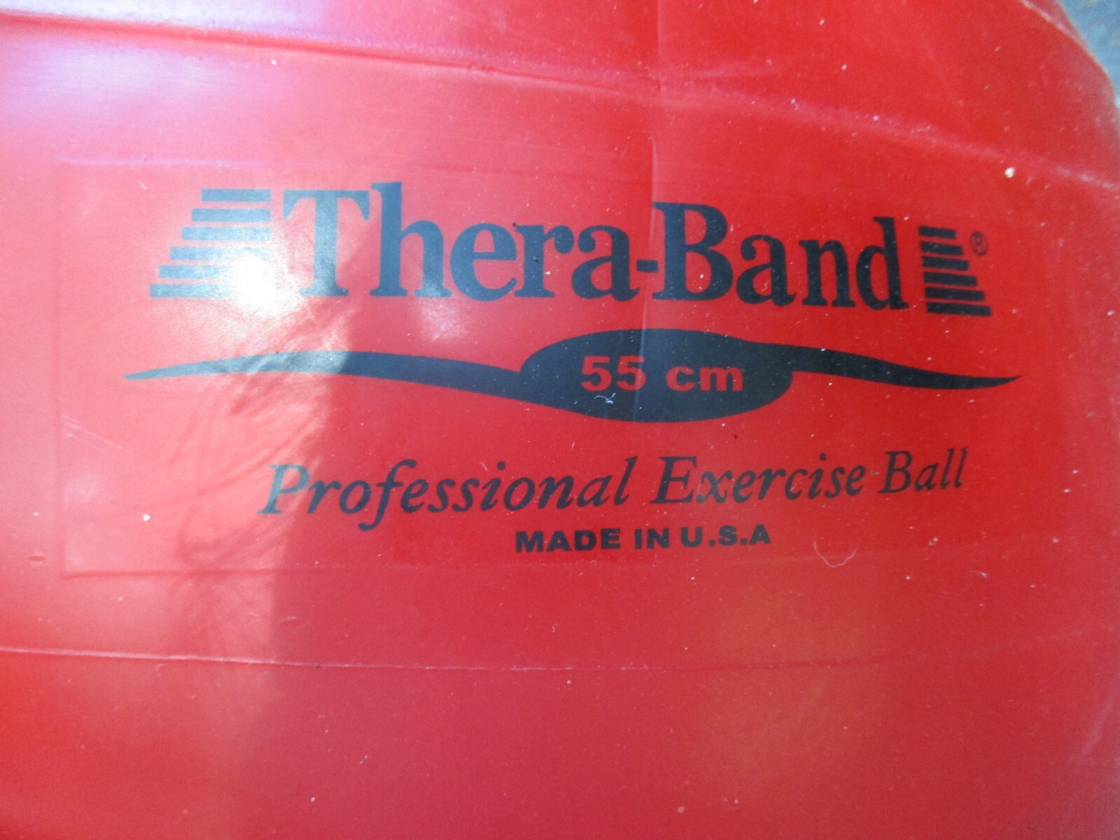 Theraband Professional Exercise Ball Red 55cm Physical Therapy eBay