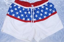 CHUBBIES VINTAGE 4.5" USA MADE SMALL 29 30 FLAG PRINT SWIM TRUNKS SHORTS POLY
