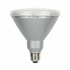 Westinghouse LED Outdoor Hardwired Electric