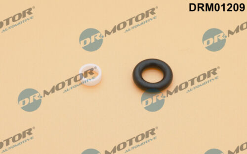 Dr.Motor Automotive DRM01209 Repair Kit, injection nozzle for AUDI SKODA VW - Bild 1 von 1