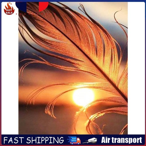 DIY Full Drill Round Diamond Painting Sunset Feather Rhinestones Mosaic ...