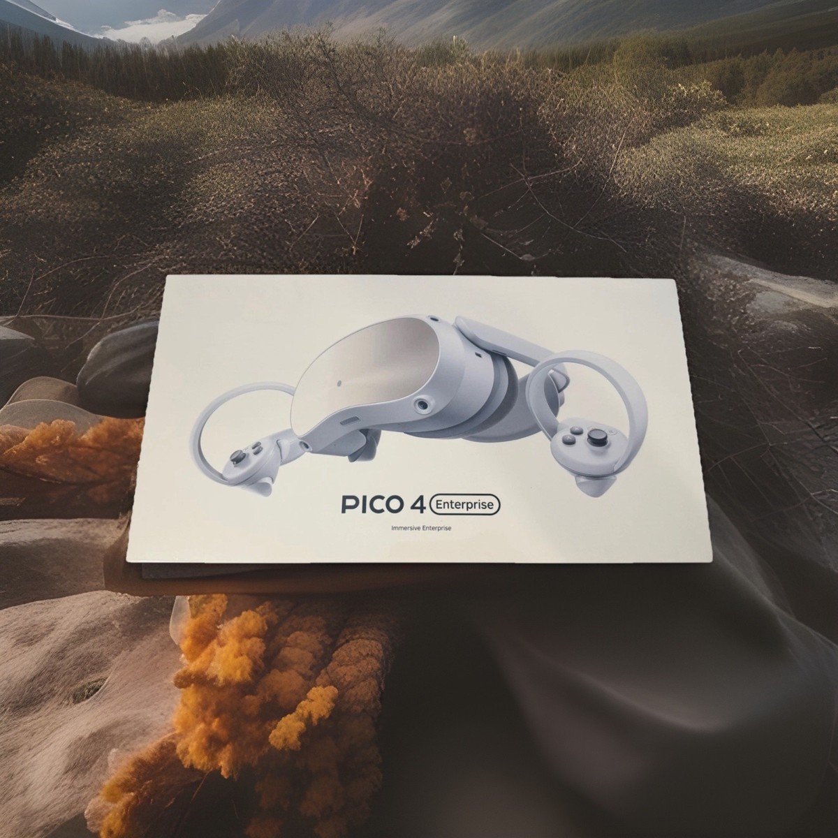 Pico 4 Enterprise (8GB + 256GB) White - NEW SEALED | eBay