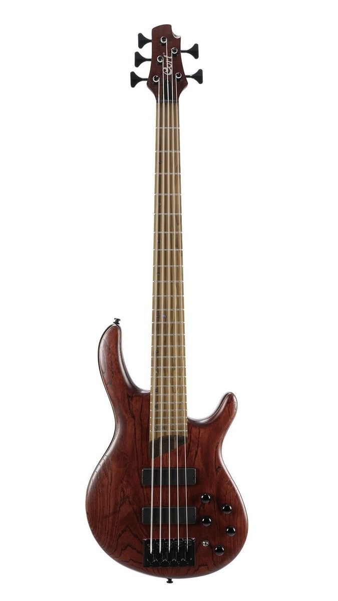 Cort B5 Element Artisan Series 5-String Bass Guitar - Open Pore