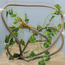 8FT Reptile Vines and Flexible Reptile Leaves with Suction Cups Jungle Climber L