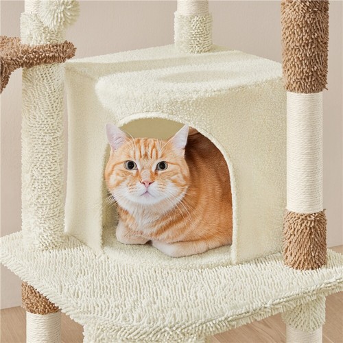 Árbol Rascador para Gatos Cactus 42,5x42,5x106,5cm Estable de Varios Niveles - Imagen 26 de 48
