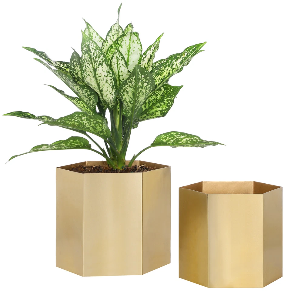 Hexagon Shiny Brass Metal Indoor Decorative Plant Pot, Vase Container, Set of 2 - Image 2 of 4