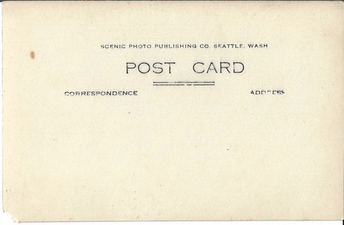 RAINIER NATIONAL PARK, RPPC, PARADISE INN IN DISTANCE, Postcard - Picture 2 of 2
