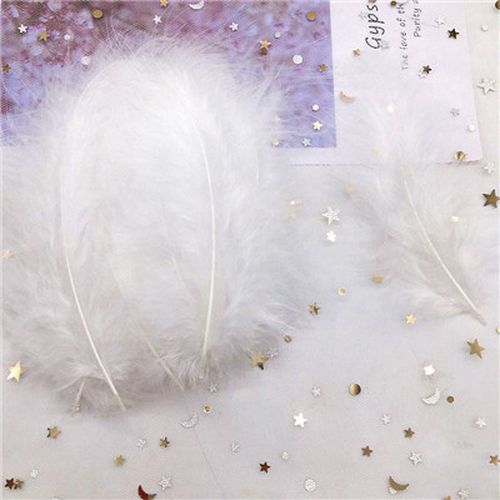 Natural Colorful Turkey Soft Feathers -Craft Sew Decoration Plume Feathers 50pcs - Picture 12 of 35
