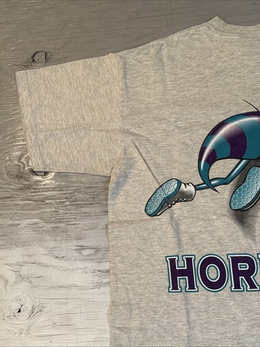 Vintage 90s NBA Nutmeg Charlotte Hornets Breakthrough Basketball Shirt Sz Large - 第 22/24 張圖片